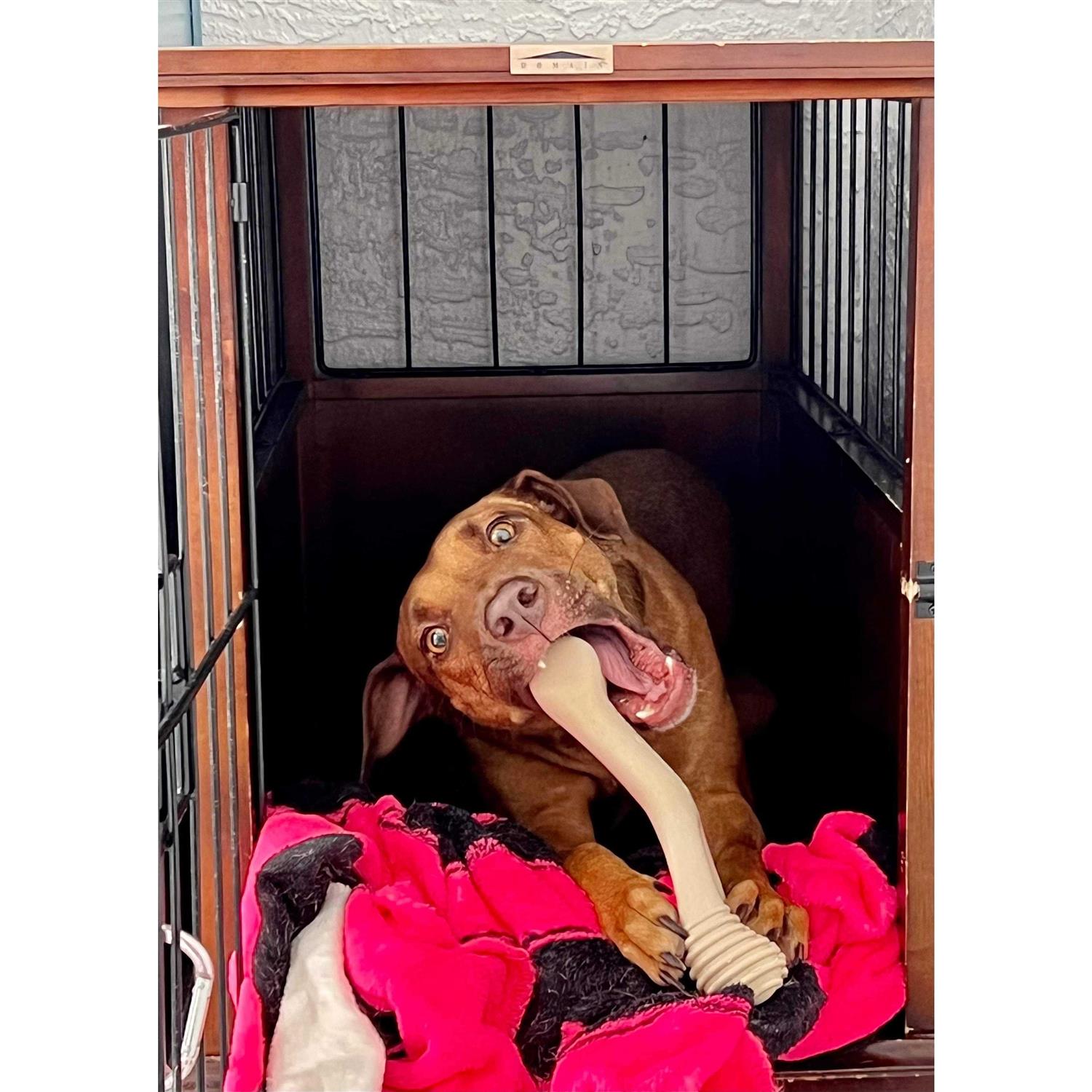 BetterBone Tough Dog Chew Beef