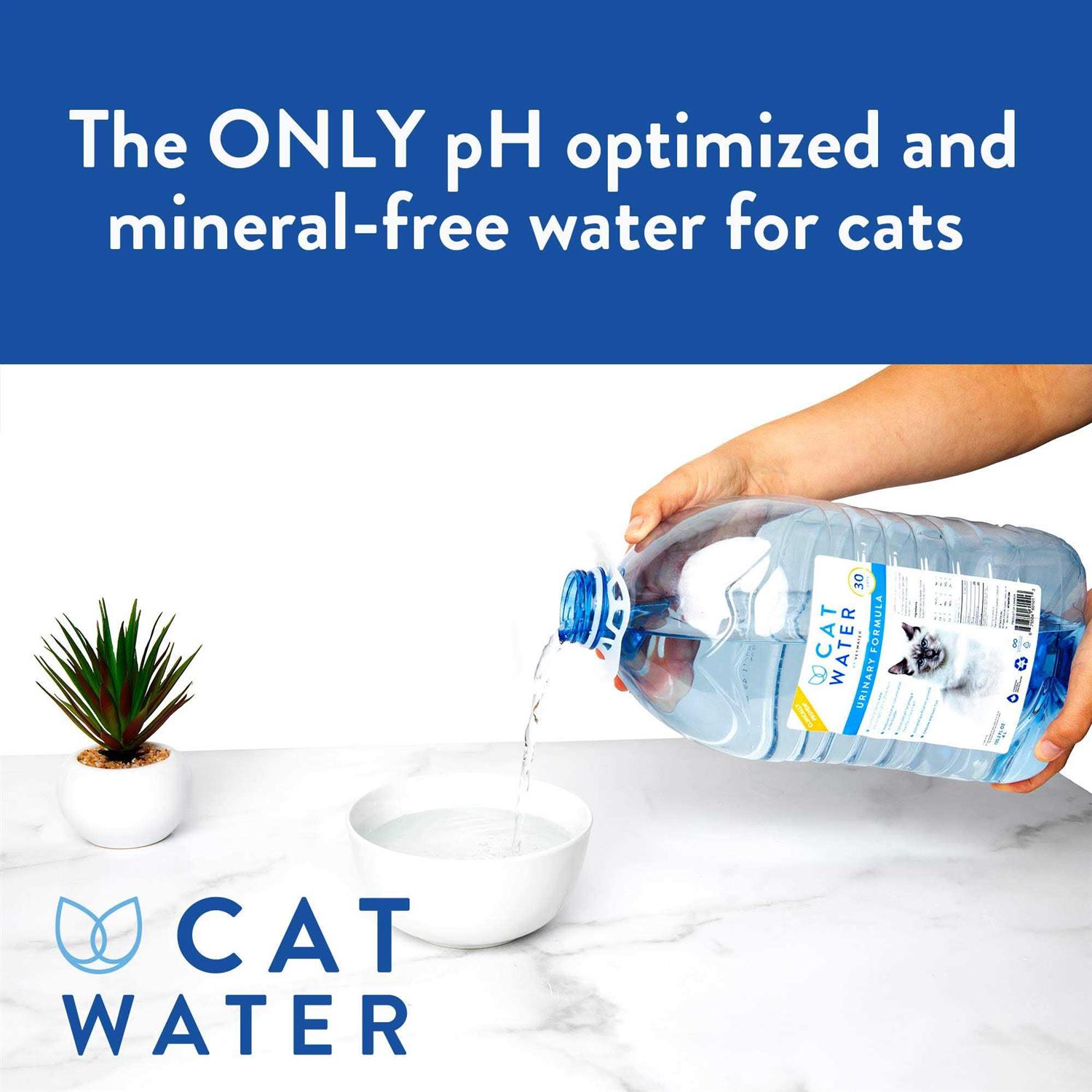Catwater by Vetwater ph-Balanced and Mineral-Free Cat Water Clinically Proven Urinary Formula