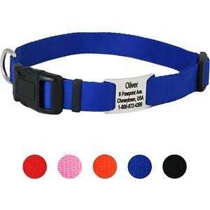 GoTags Adjustable Nameplate Personalized Dog Collar