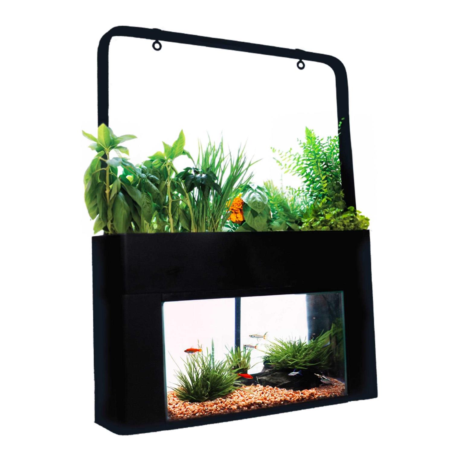 AquaSprouts Garden kit