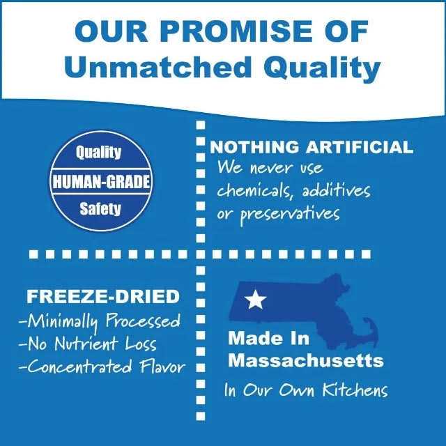 Whole Life Natures Remedy Recover Interim Stomach Distress Cat Food