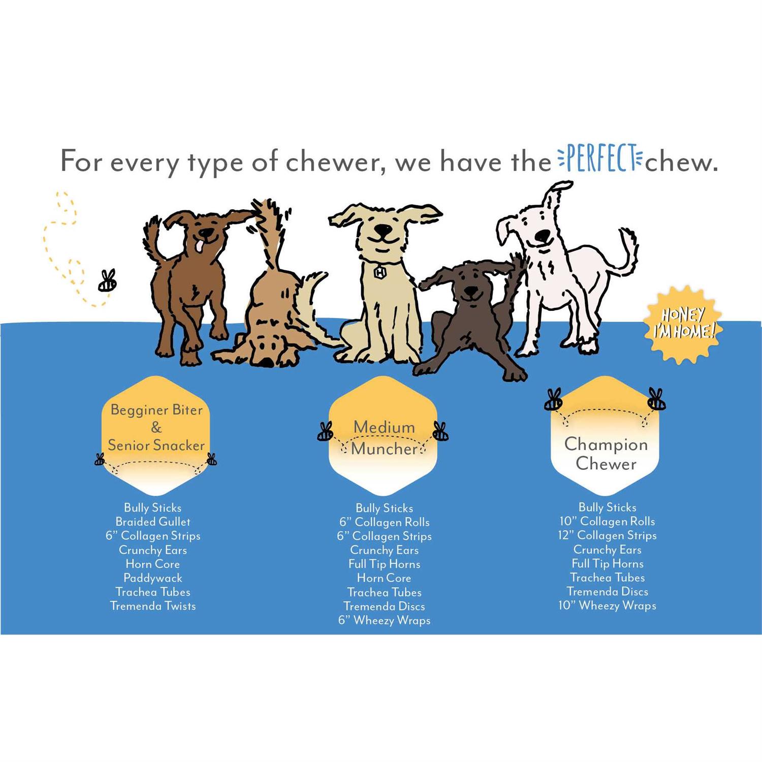 Honey I’m Home Dog Buffalo Trachea