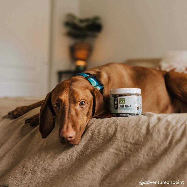 Only Natural Pet Just Relax Herbal Calming Soft Chews