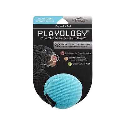 Playology Plush Ball Scented Dog Toy