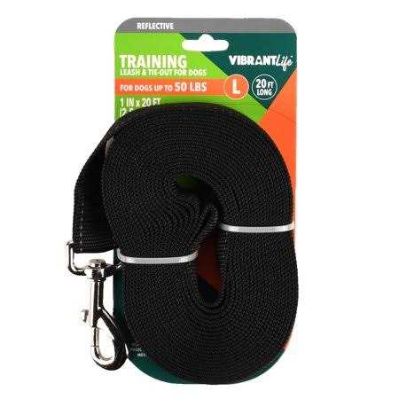 Vibrant Life 20′ Polyester Slip Lead Dog Leash