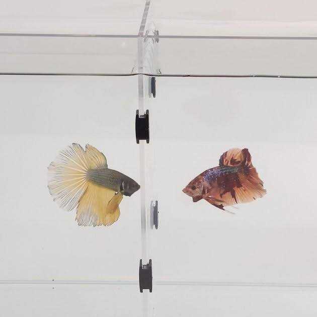 Lifegard Aquarium R460041 & R460081 Acrylic