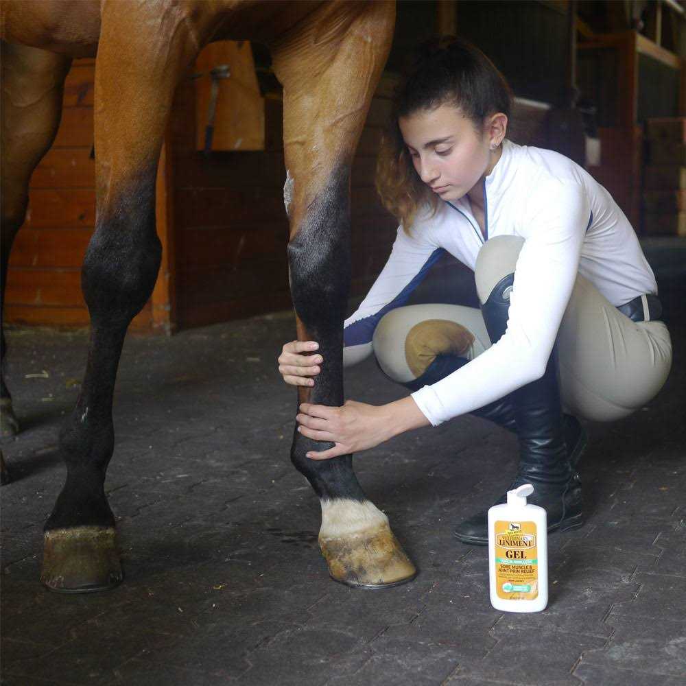 Absorbine Veterinary Liniment Gel