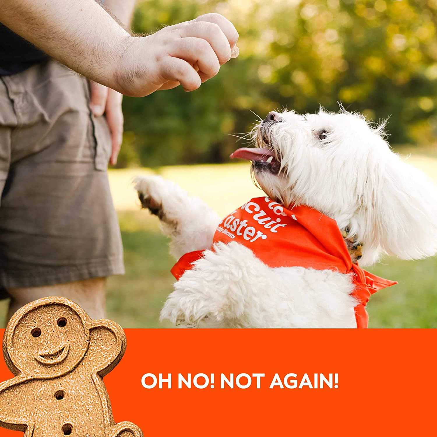 Buddy Biscuits Peanut Butter Soft and Chewy Dog Treats