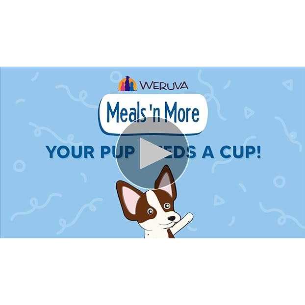 Weruva Dog Meals ‘n More Belly Belly Nice! Variety Pack