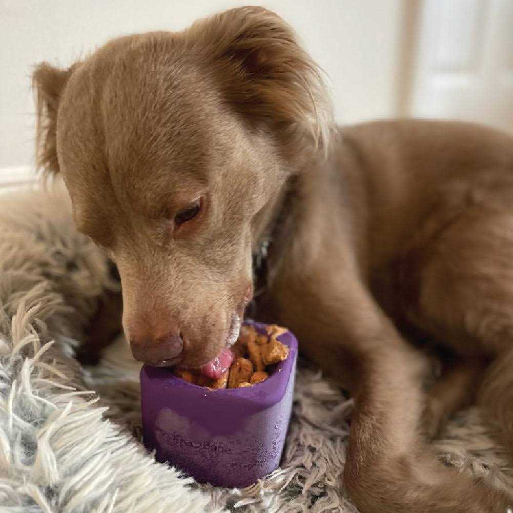 Freezbox UP TO 140LBS DOGS