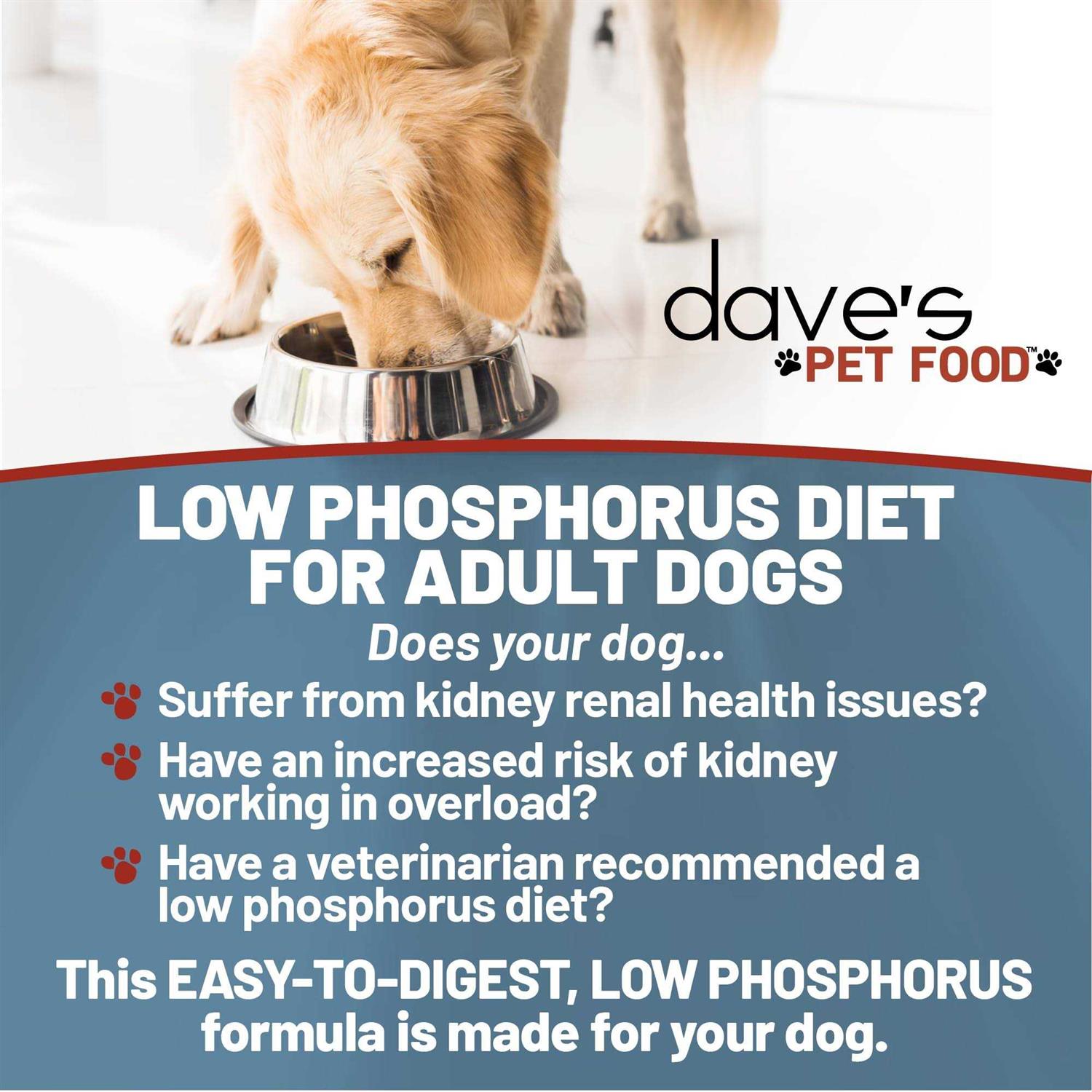 Dave’s Pet Food Kidney Support with Renal Support Chicken Formula Crumble Non-Prescription Low Phosphorus Restricted Diet Dog Food