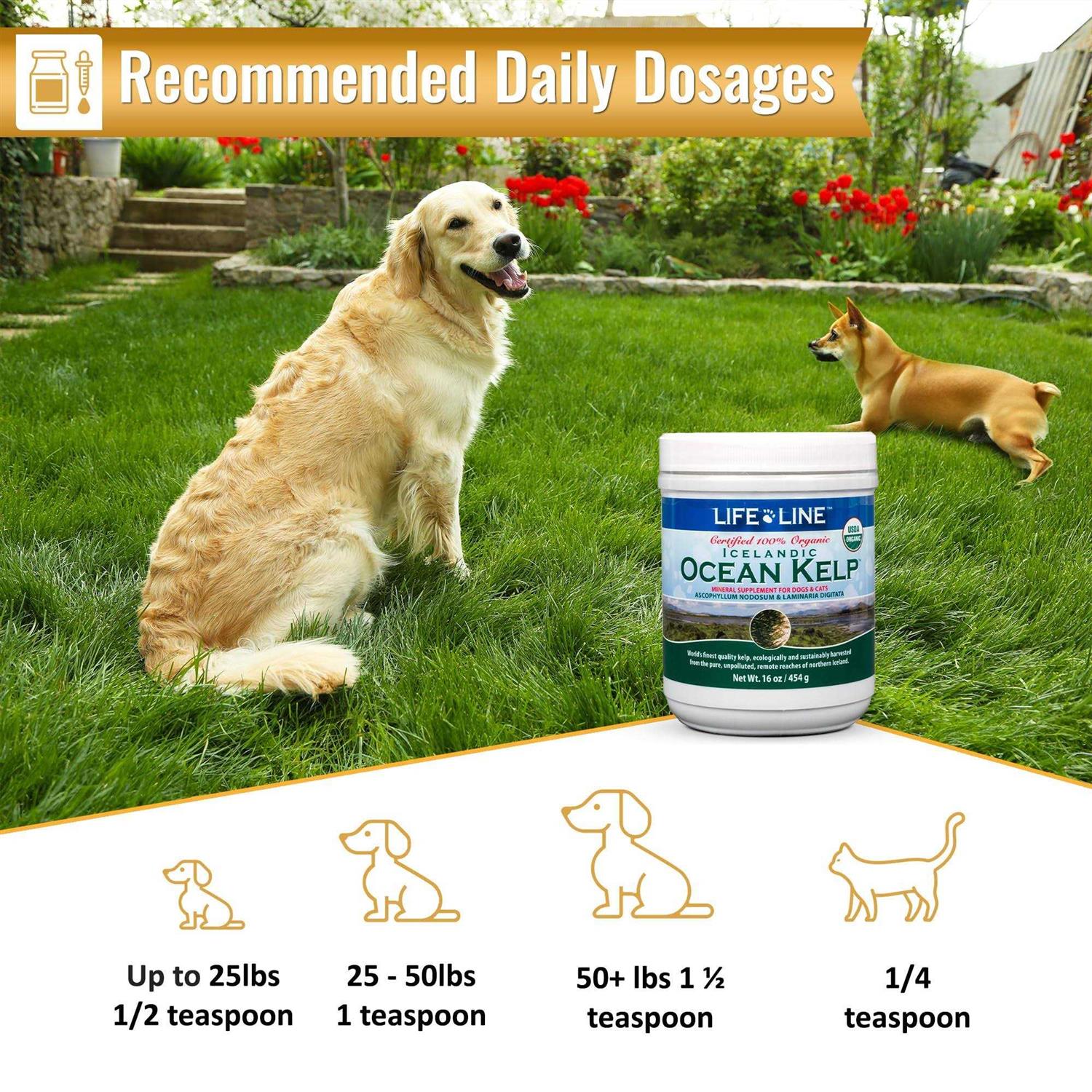 Life Line Pet Nutrition Life Line Ocean Kelp Dog & Cat Supplement