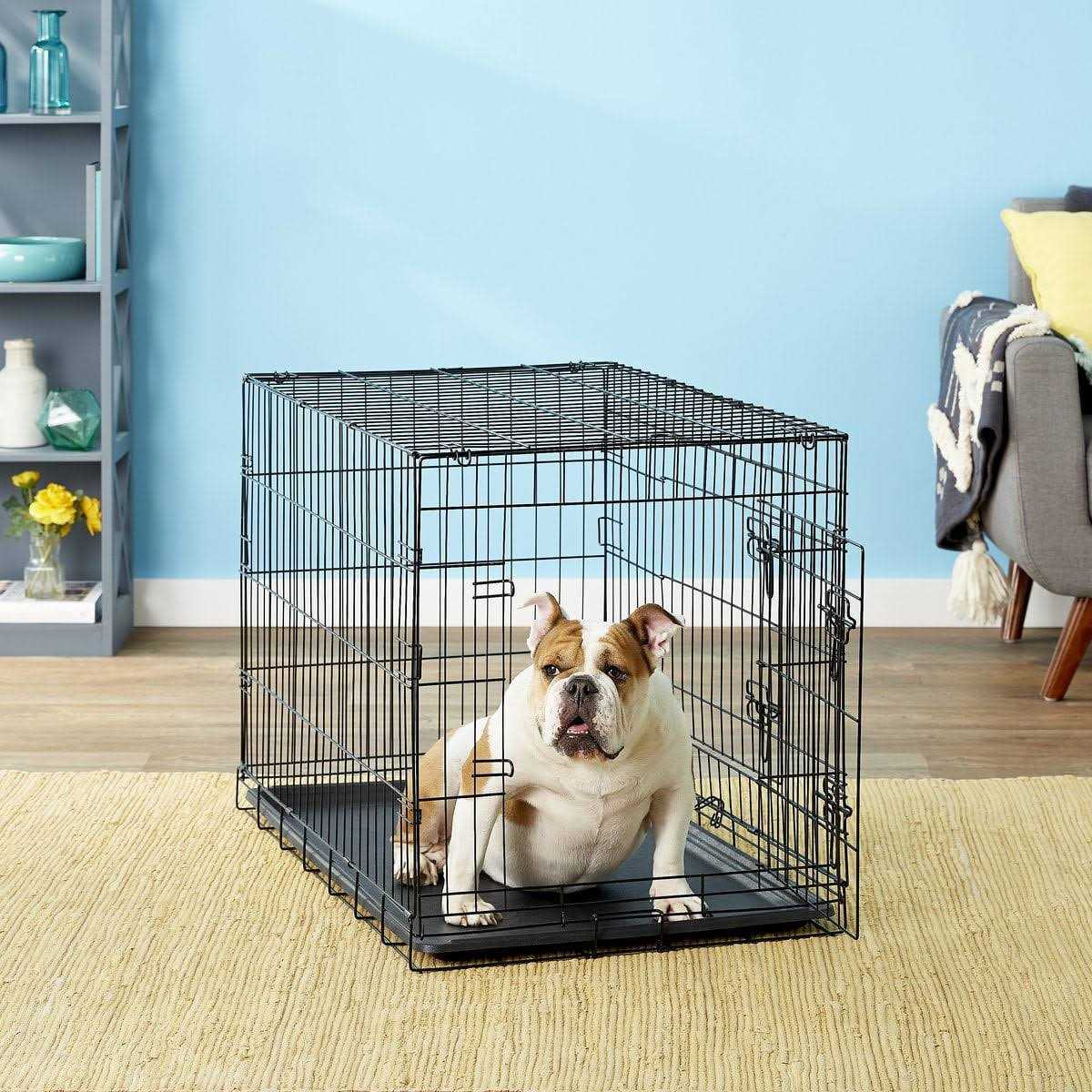 Paws Pals Double-Door Folding Wire Dog Crate