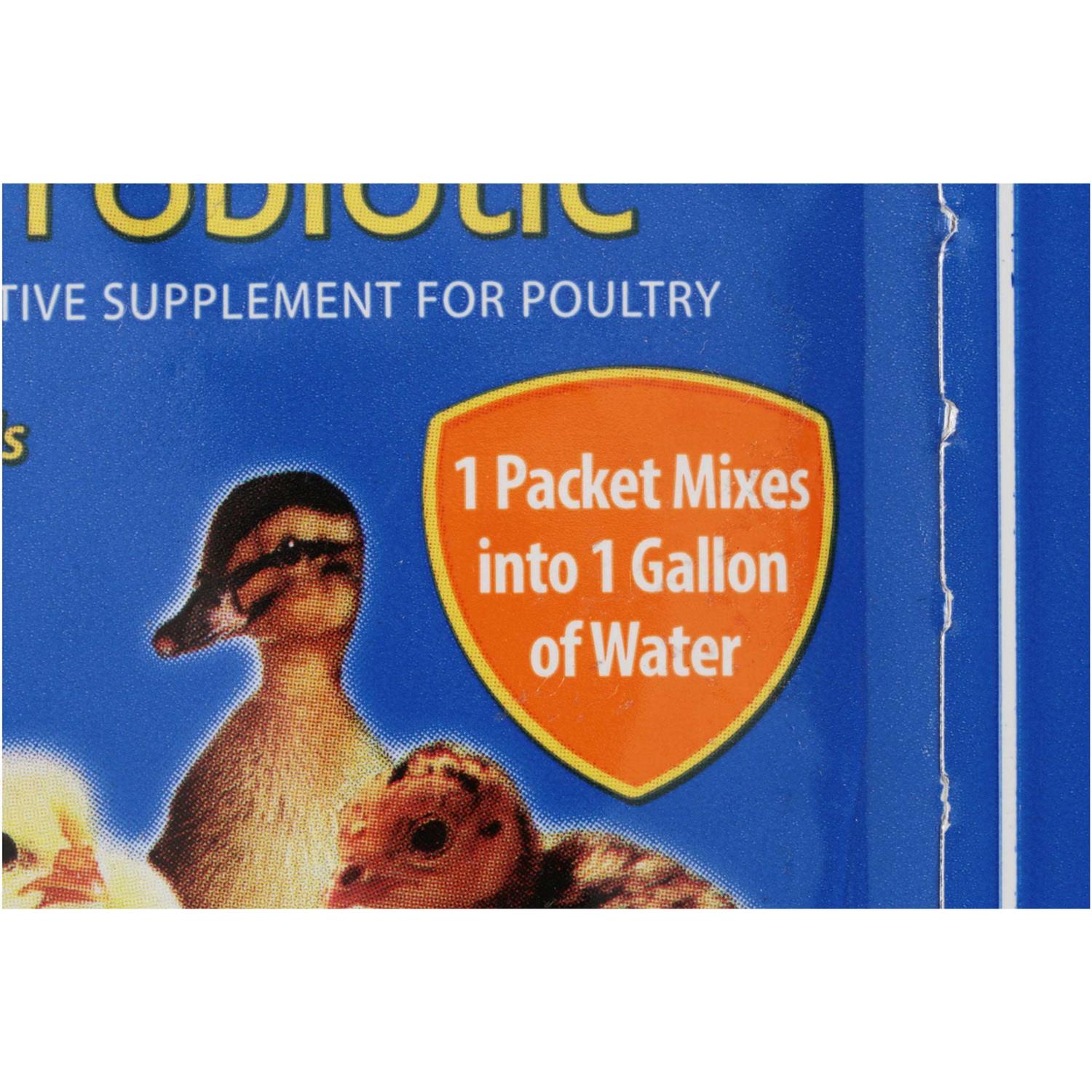 Sav-A-Chick Probiotic Supplement