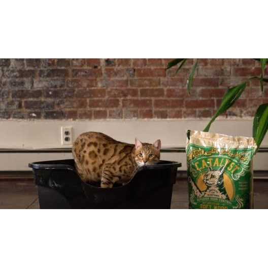 Catalyst Cat Litter Soft Wood