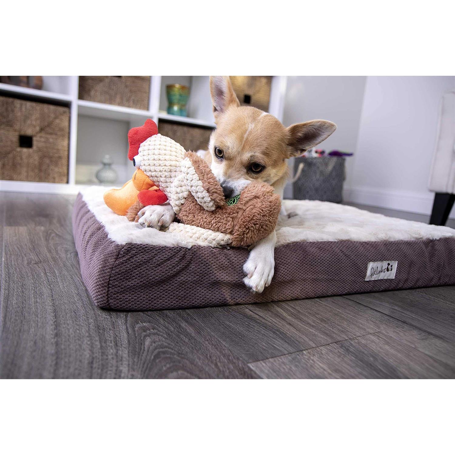 goDog Checkers Chew Guard Skinny Rooster Dog Toy