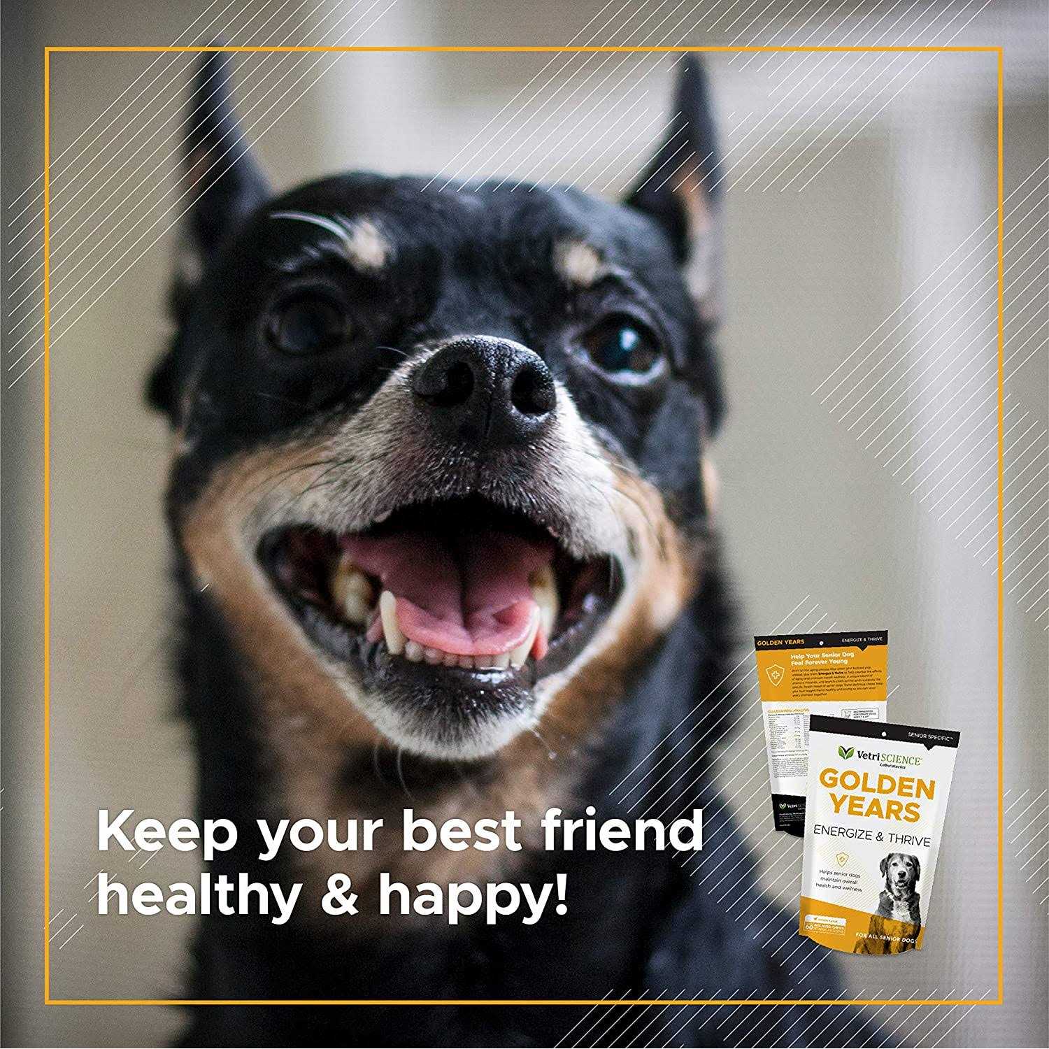 VetriScience Golden Years Energize and Thrive Multivitamin for Senior Dogs