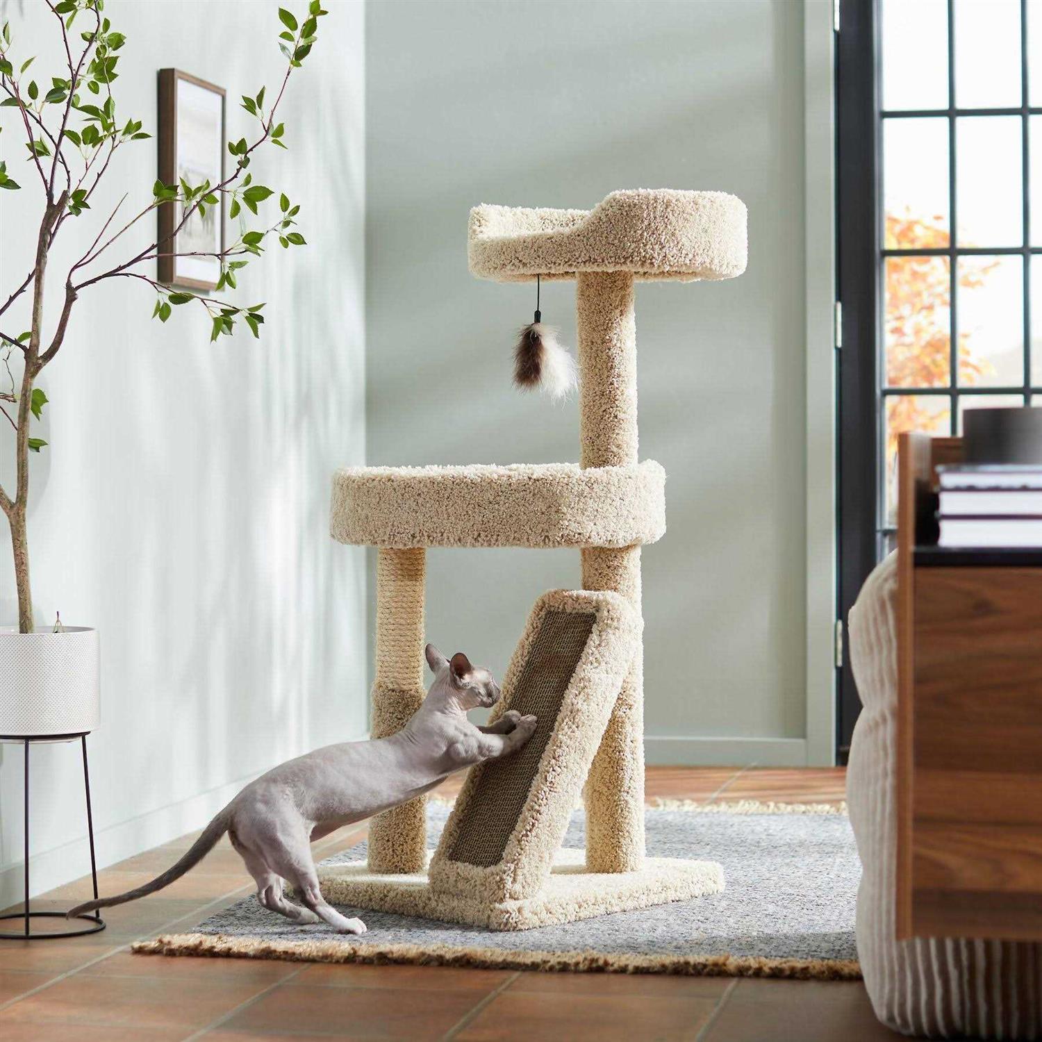 Frisco 44-in Real Carpet Cat Tree with Replaceable Corrugate Scratcher