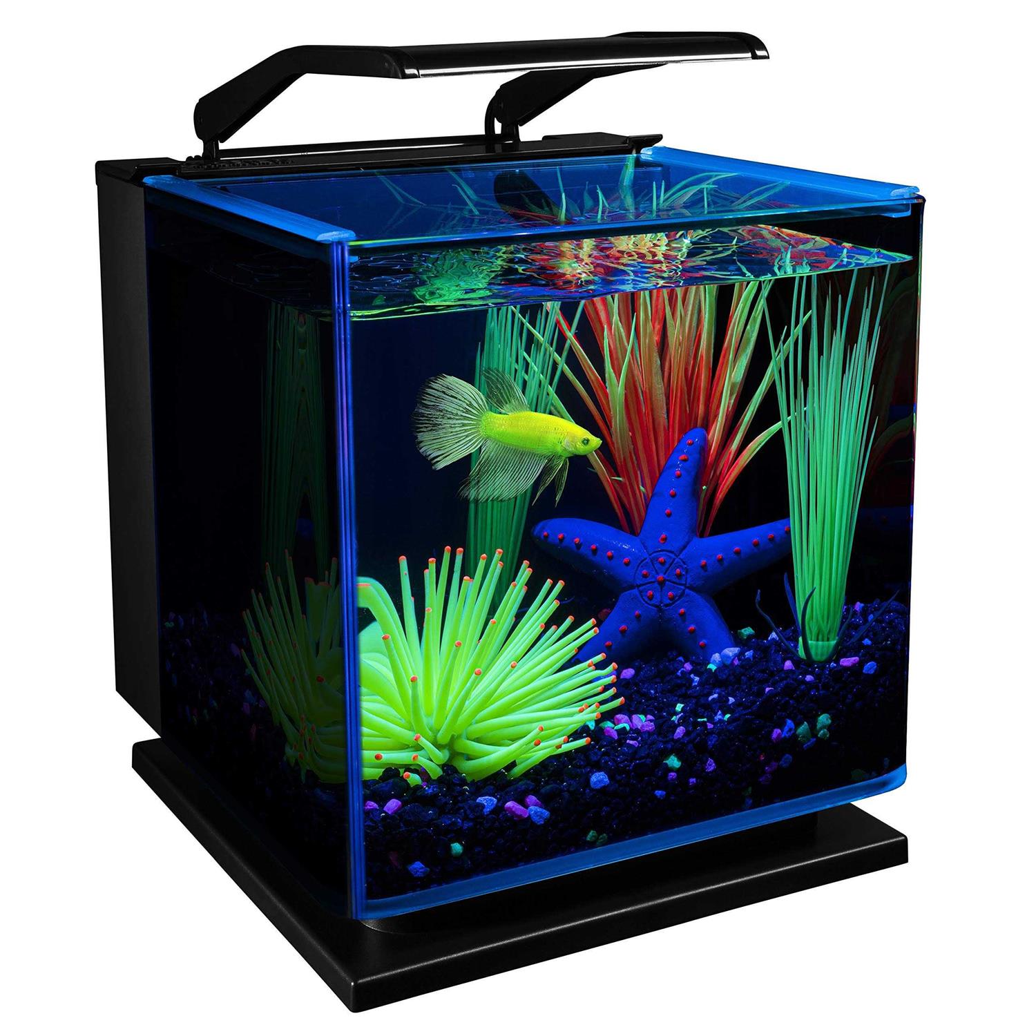 Glofish Betta Aquarium Kit 3 Gallons, Includes LED Lighting and Filter