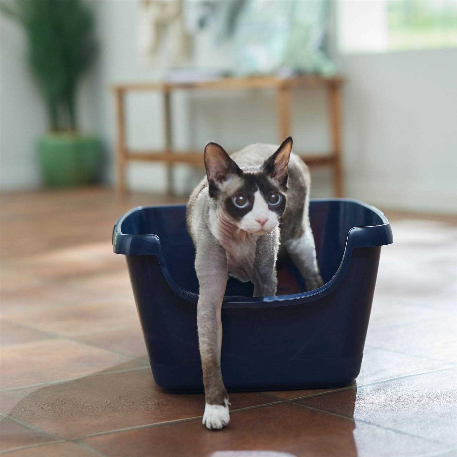 Frisco High Sided Cat Litter Box