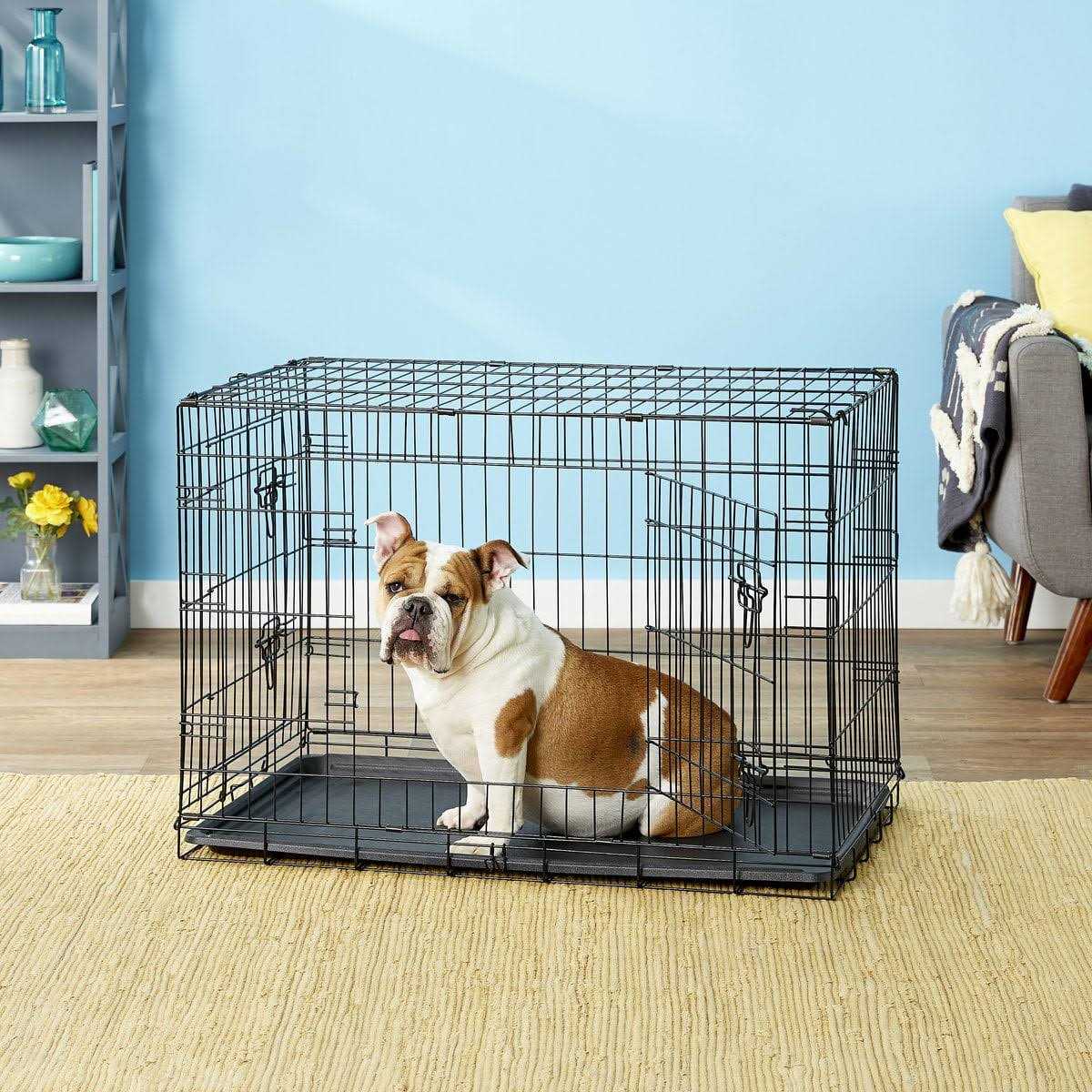 Paws Pals Double-Door Folding Wire Dog Crate