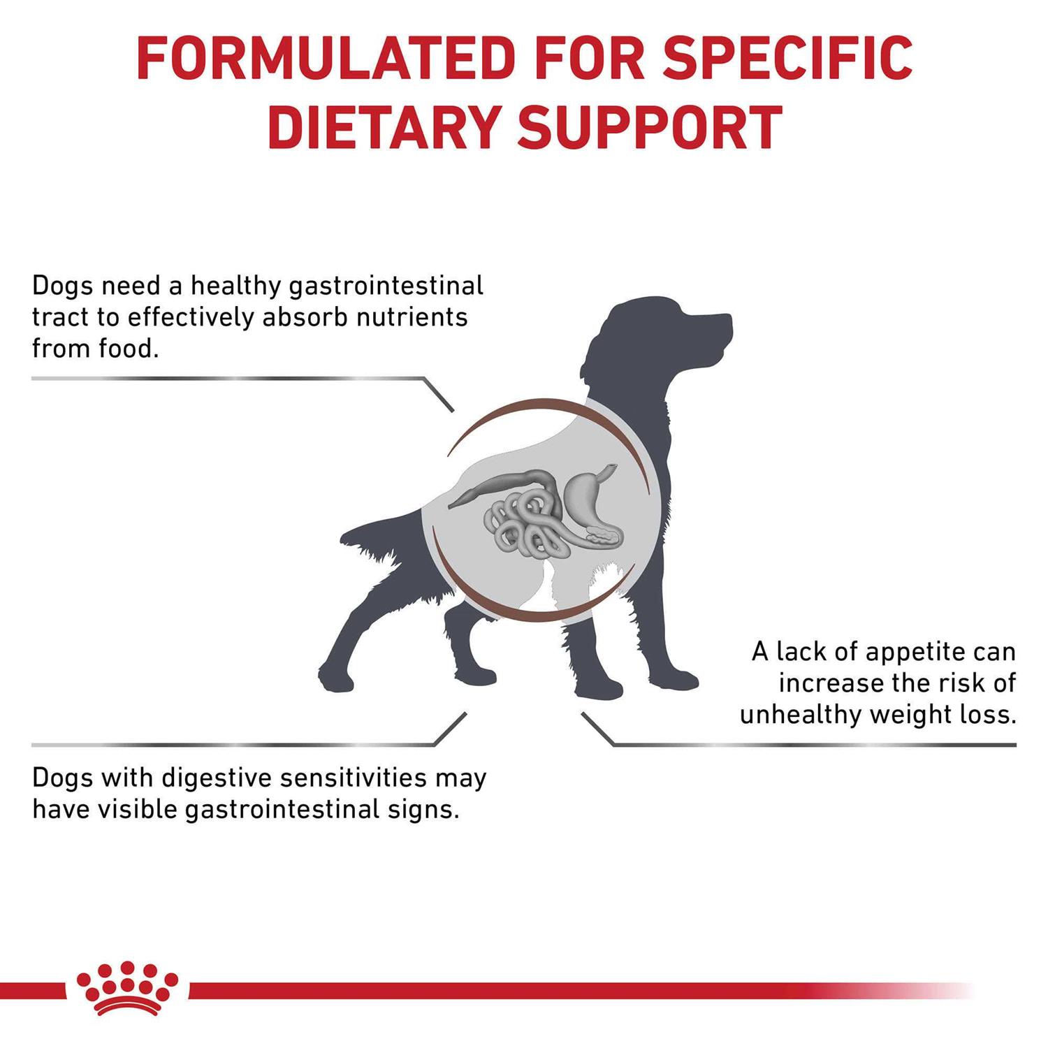 Royal Canin Veterinary Diet Canine Gastrointestinal Dry Dog Food