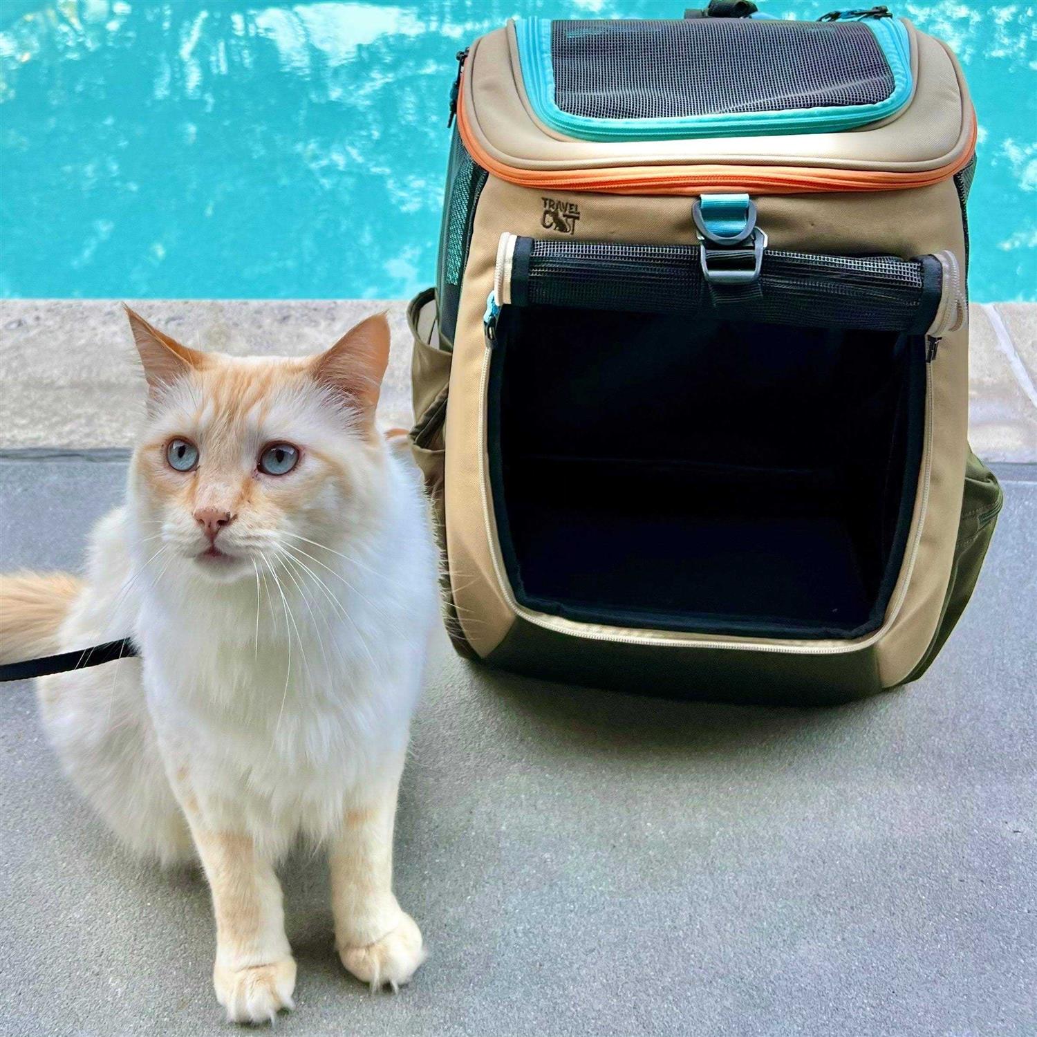 Your Cat Backpack The Navigator Earth Convertible Cat Backpack For Adventurous Cats and Humans