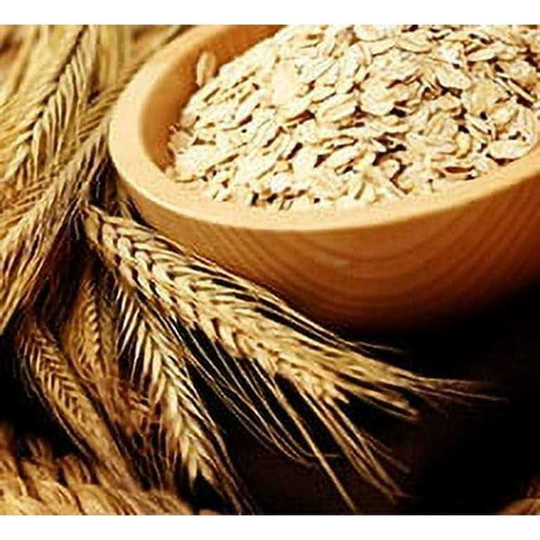 Vet’s Best Waterless Dog Bath