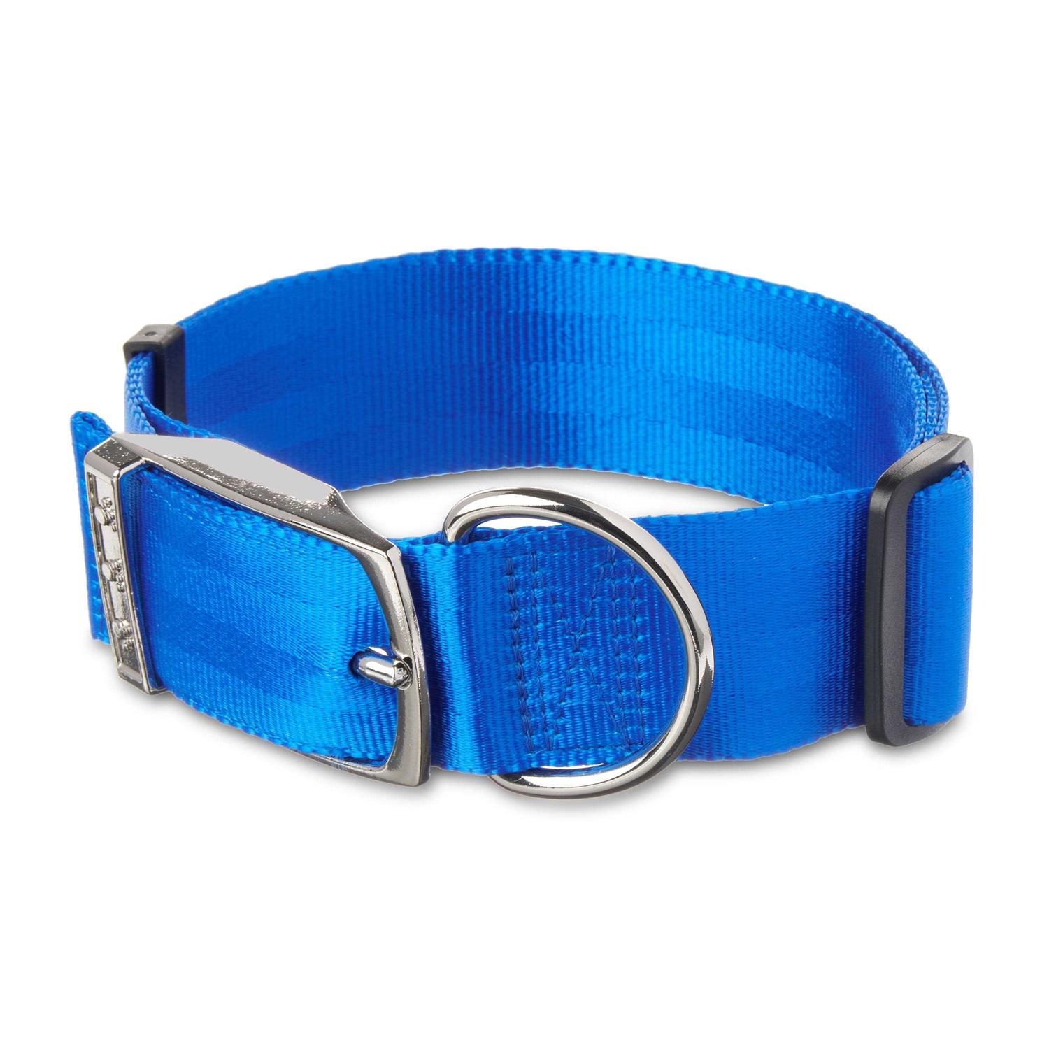 Vibrant Life Solid Dog Collar with Metal Buckle