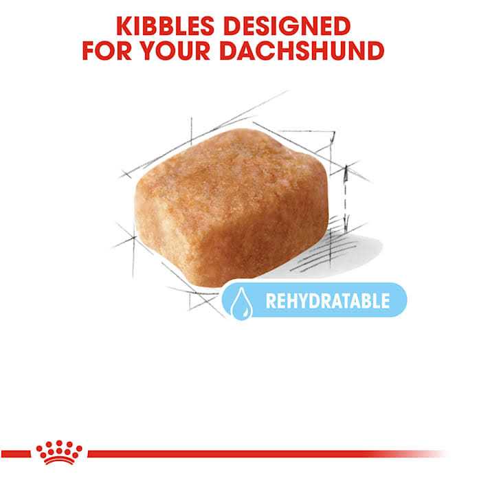 Royal Canin Breed Health Nutrition Dachshund 8+ Adult Dry Dog Food