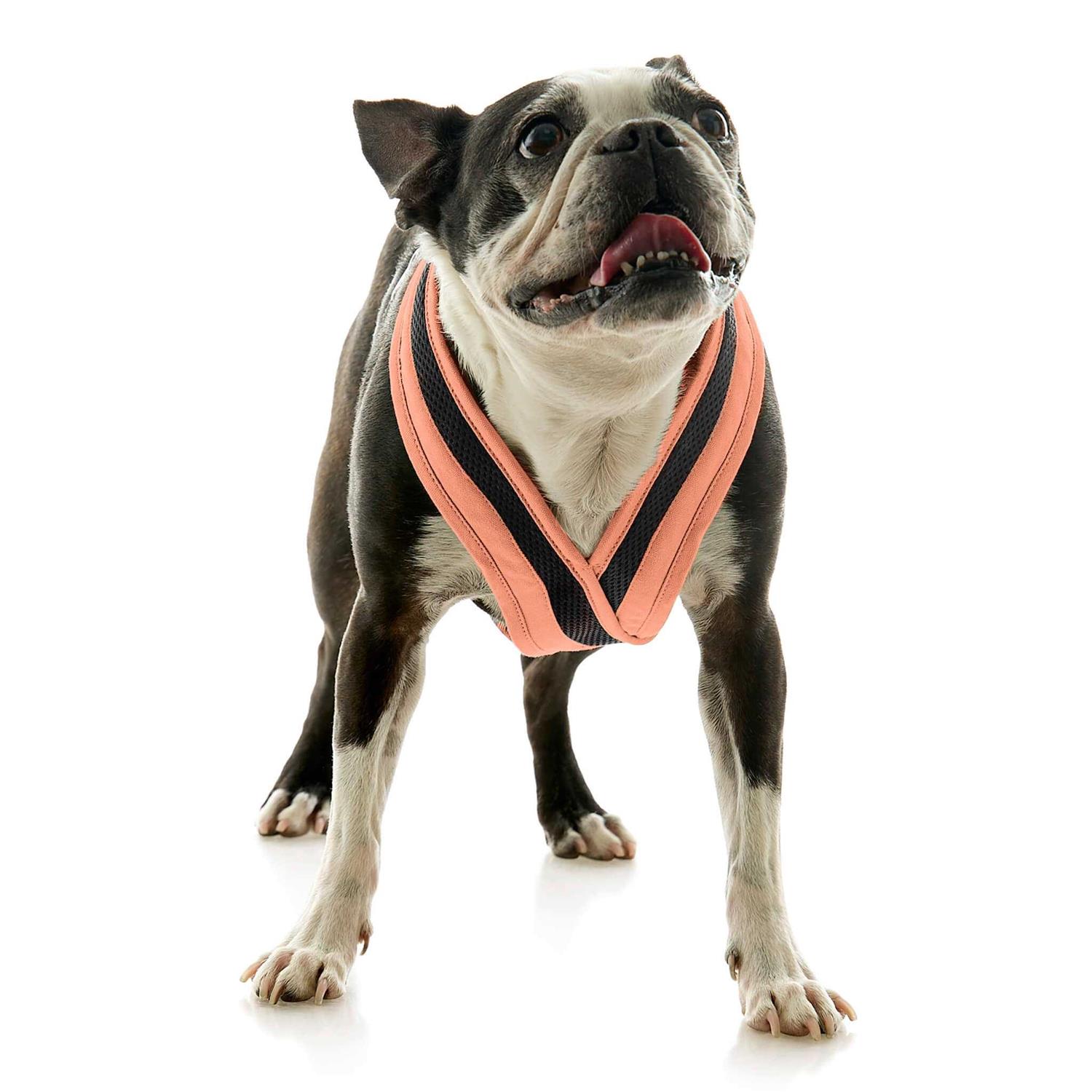 Gooby Escape Free Comfort X One Dog Harness