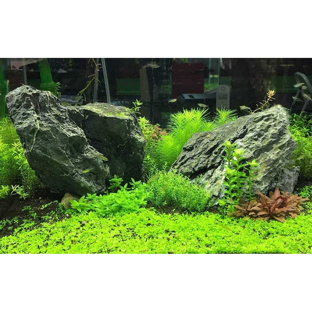 Flourish Potassium Seachem