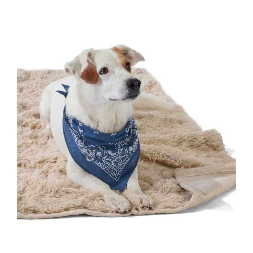 Tall Tails Dog Waterproof Blanket