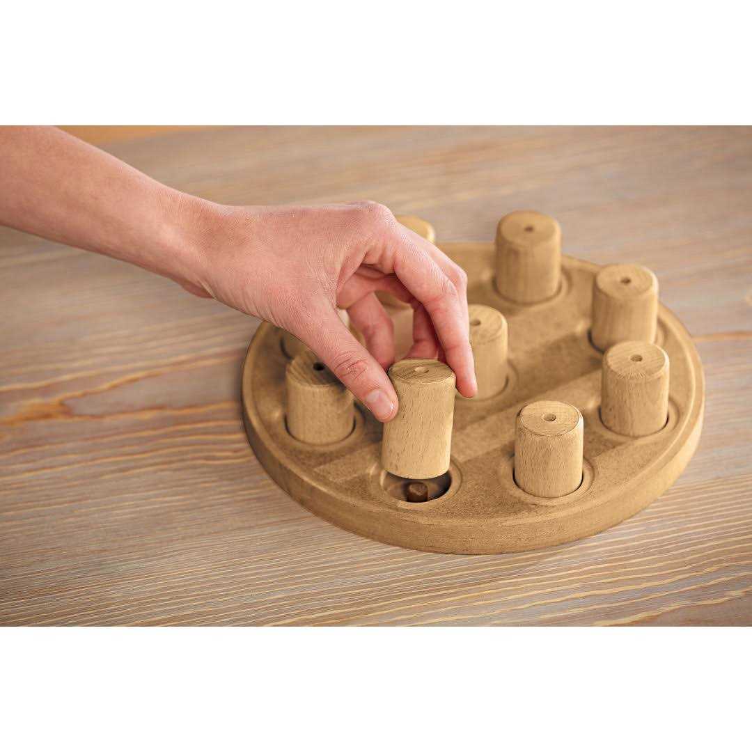 Outward Hound Nina Ottosson Dog Smart Composite Puzzle