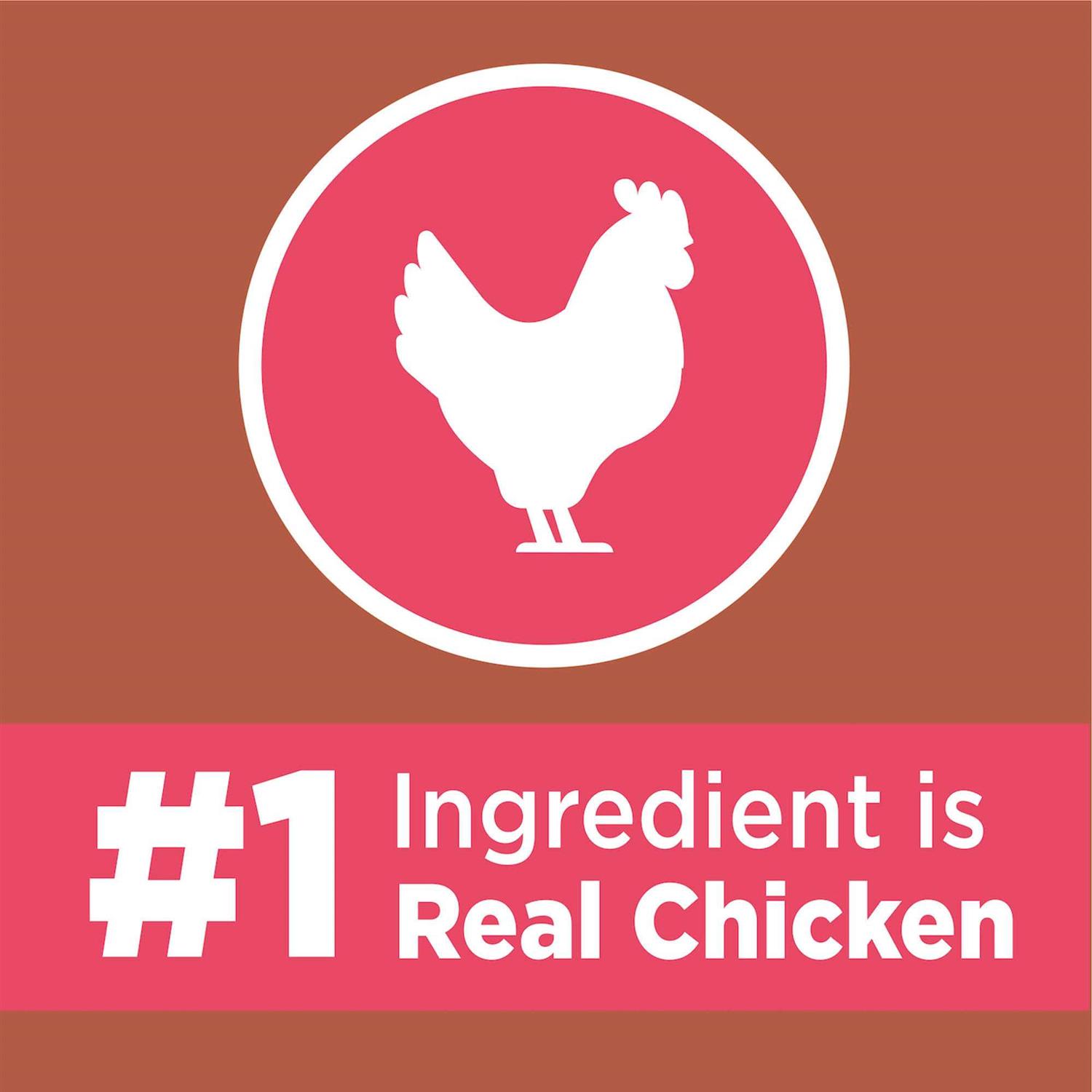 Iams Proactive Health High Protein Adult Dry Cat Food with Chicken & Salmon