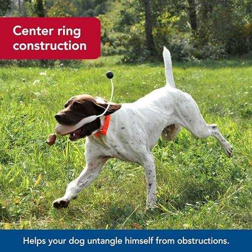 Water & Woods Waterproof Dog Collar