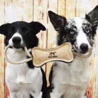 Tall Tails Natural Leather Ring Dog Toy