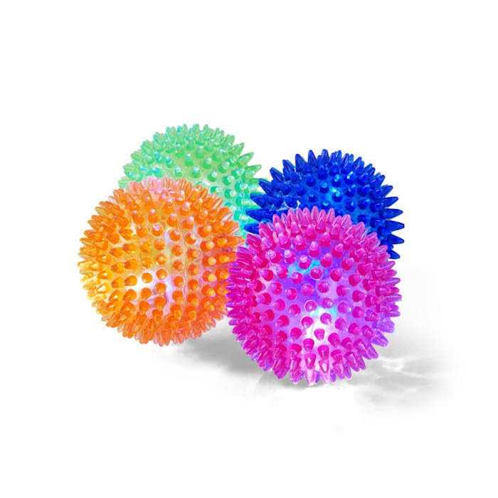 Leaps & Bounds Spiny Ball Dog Chew Toy