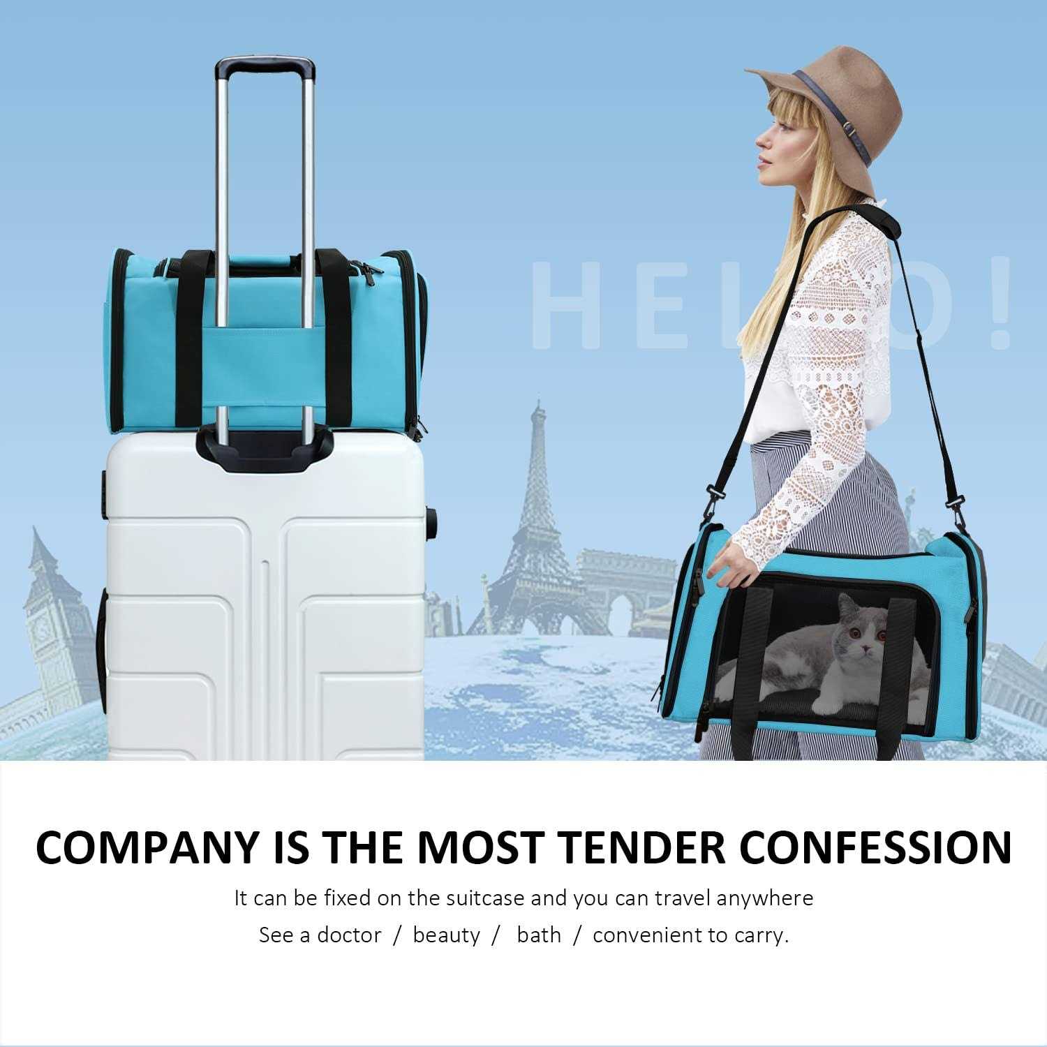 Henkelion Cat Carriers Dog Carrier Pet for Small Medium Cats Puppies up to 15 Lbs