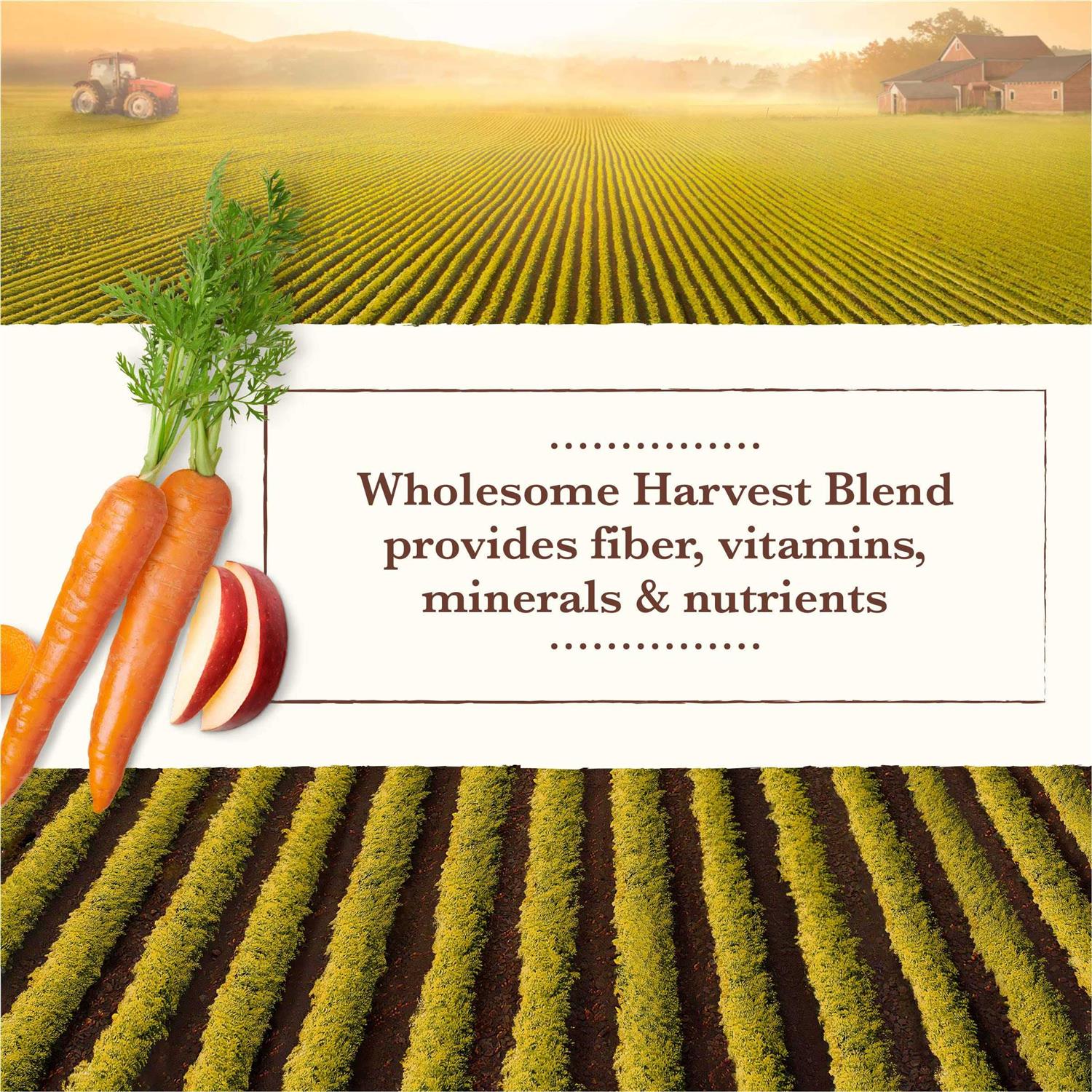 Whole Earth Farms Grain Free Wet Dog Food Chicken Turkey