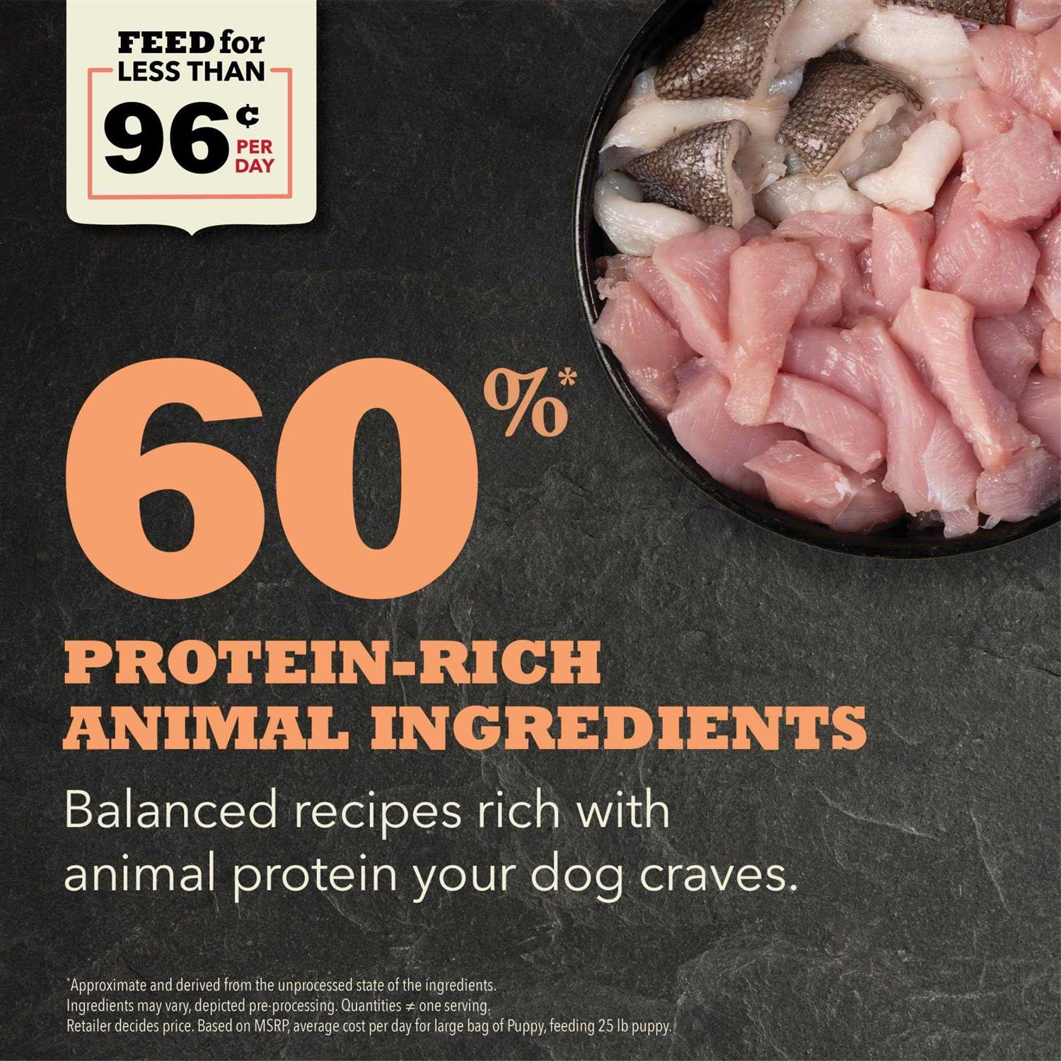 Acana Puppy & Junior Dry Dog Food