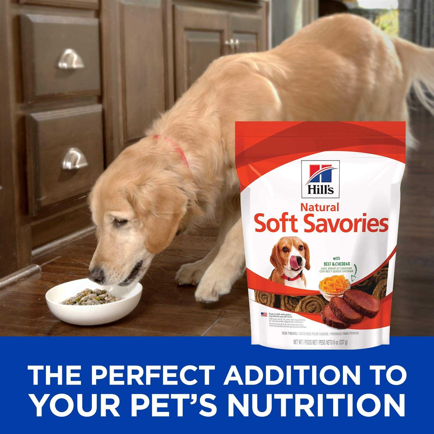 Hill’s Science Diet Soft Savories Beef & Cheddar Dog Treats