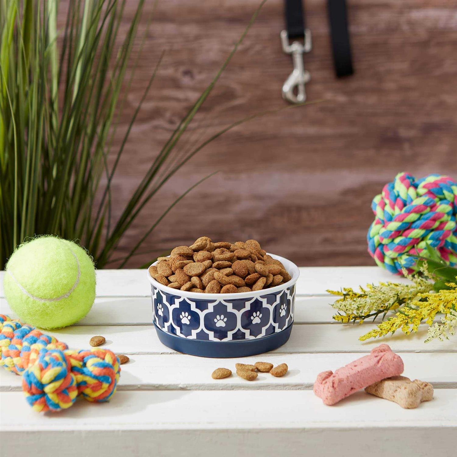 Bone Dry Lattice Pet Bowl