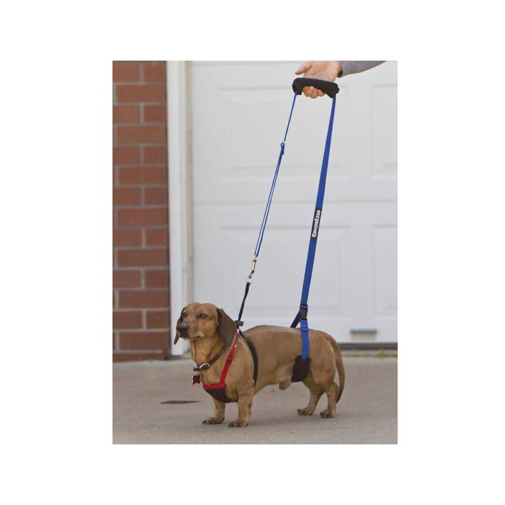 GingerLead Dog Support Rehabilitation Harness