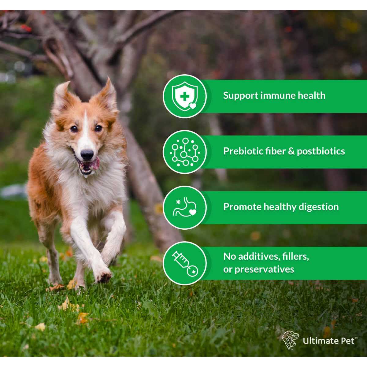 Ultimate Pet Nutrition Canine Restore Pre, Pro, and Postbiotic Digestive Support Powder for Dogs 3.17 oz