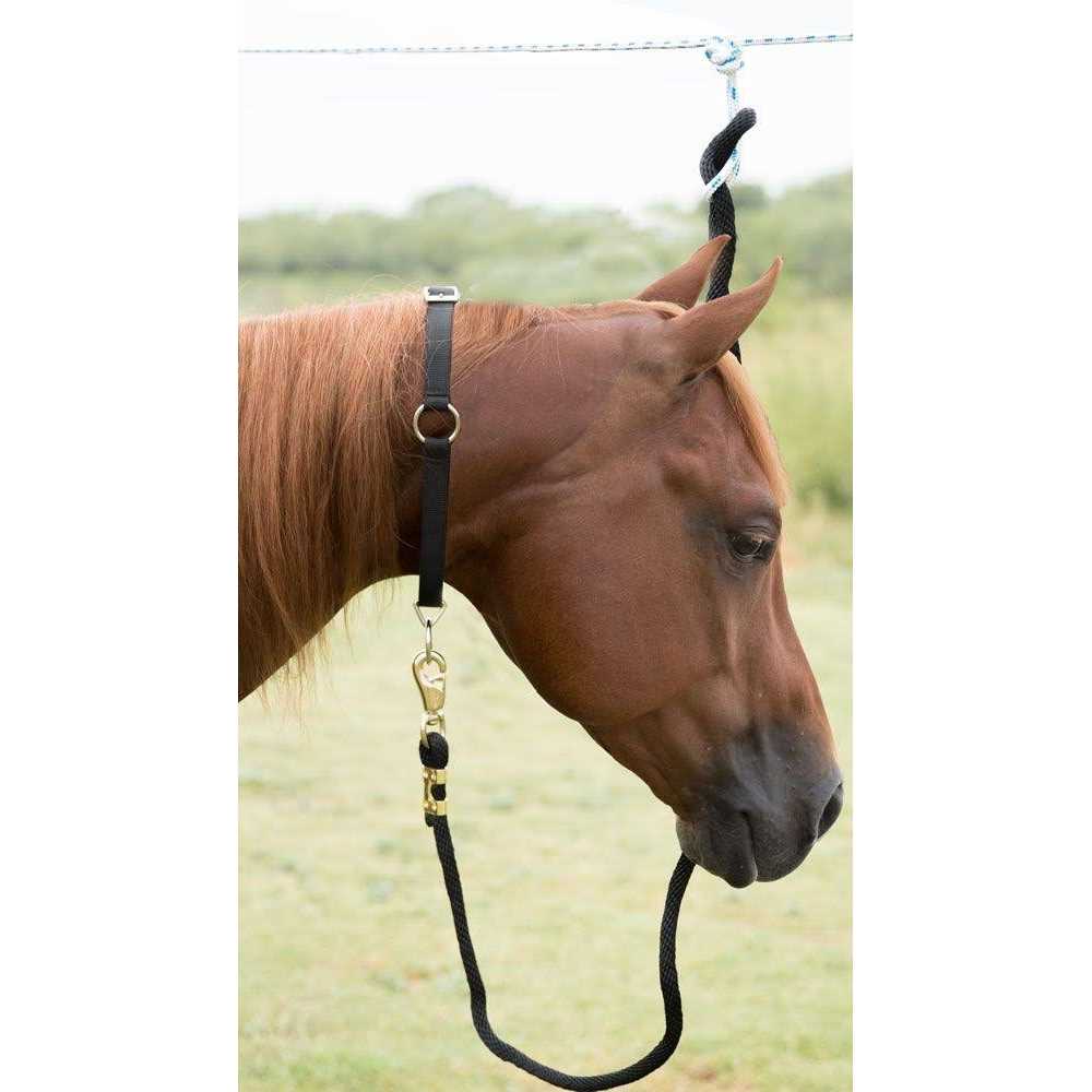 Mustang Neck Collar