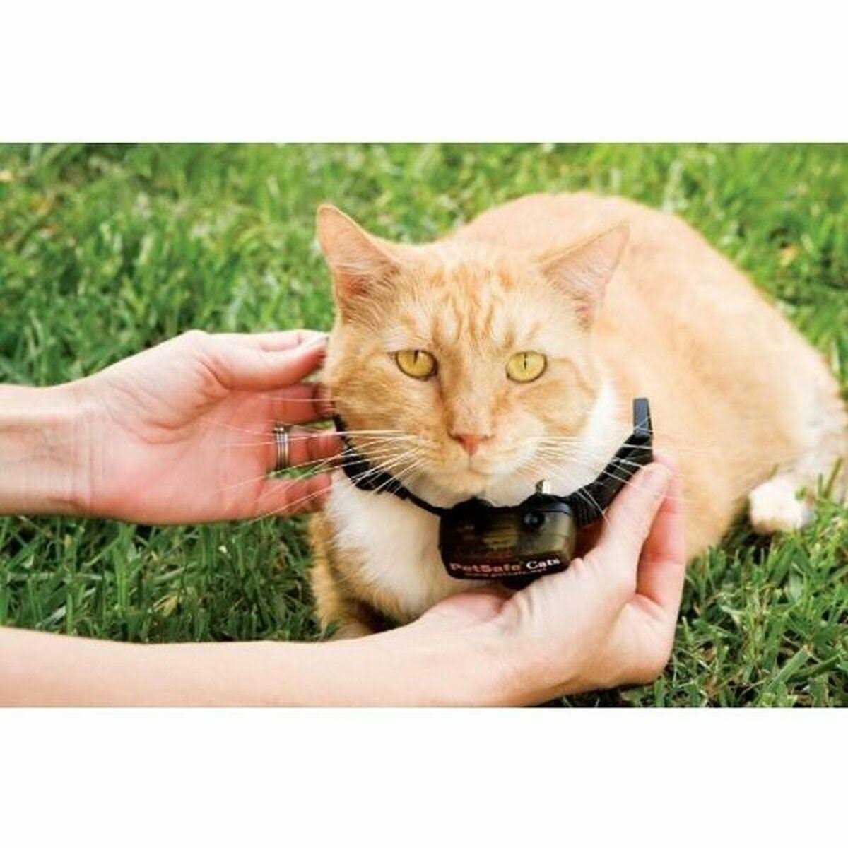 PetSafe In-Ground Cat Fence Receiver Collar
