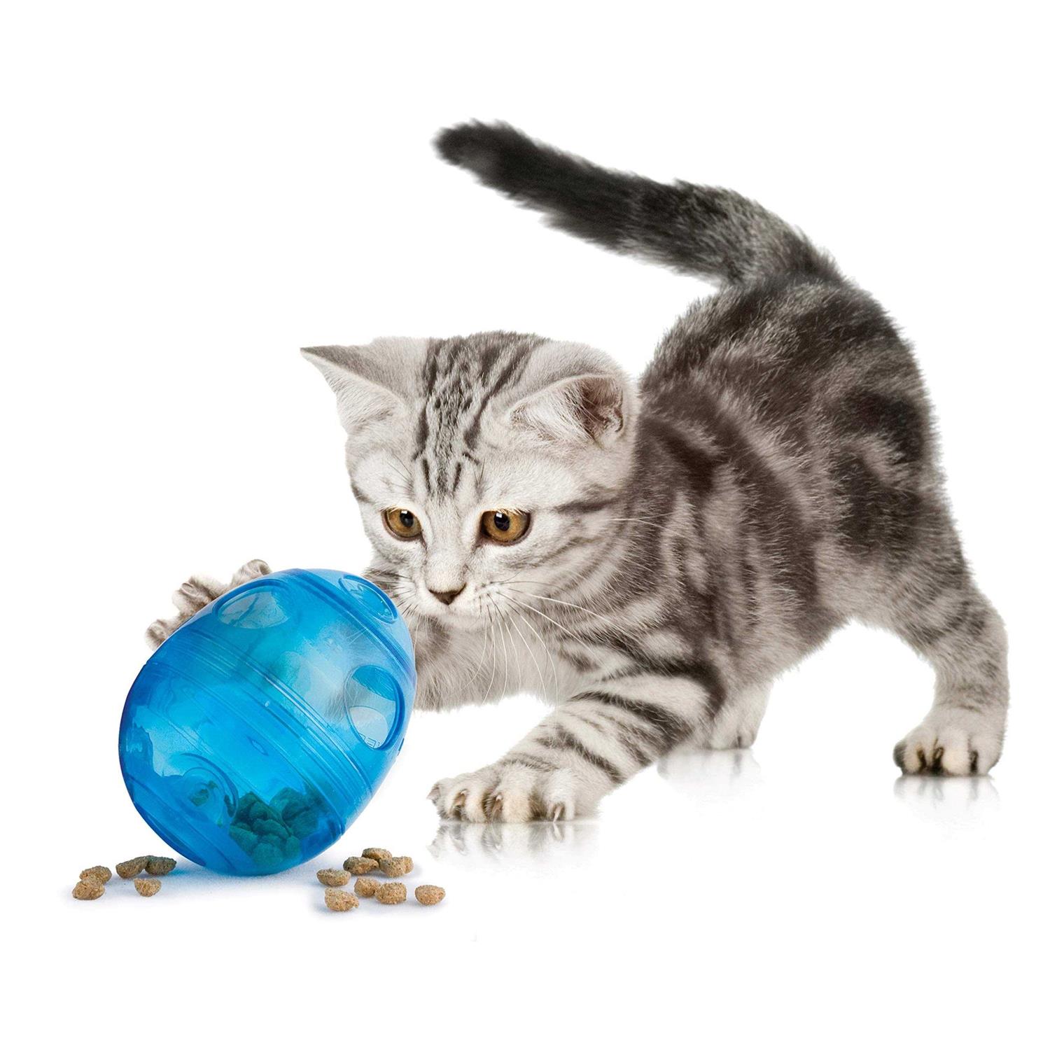 PetSafe Egg-Cersizer Cat Toy
