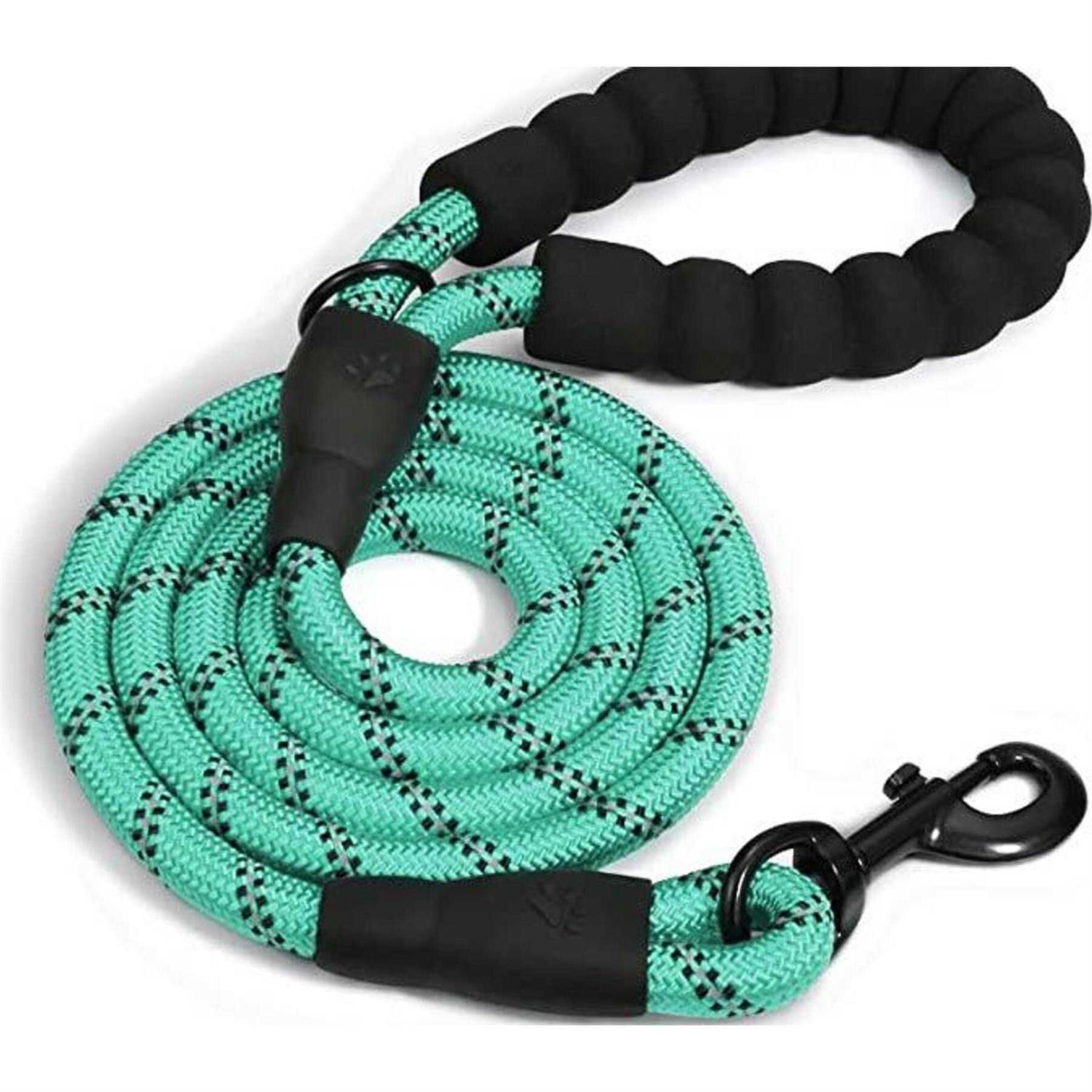 Doggy Tales Braided Dog Leash