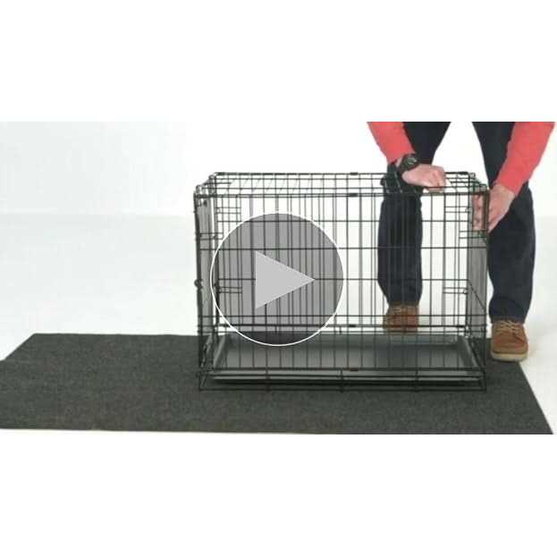 Carlson Pet Products Secure Single Door Wire Dog Crate